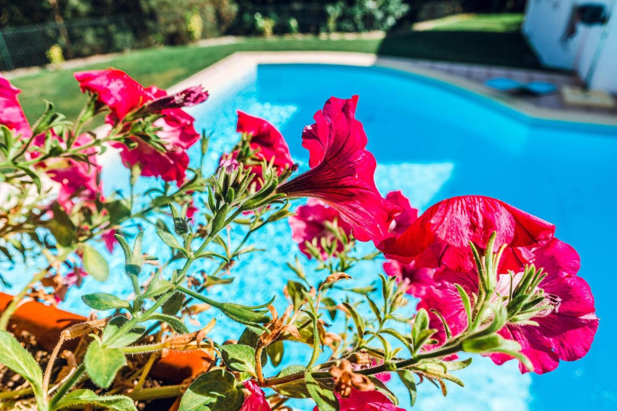 Bed and Breakfast Estalagem Bela Vista Mondim de Basto Exterior foto